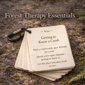 Forest Bathing Cards - 40 Shinrin-yoku Invitations - The Essentials Pack