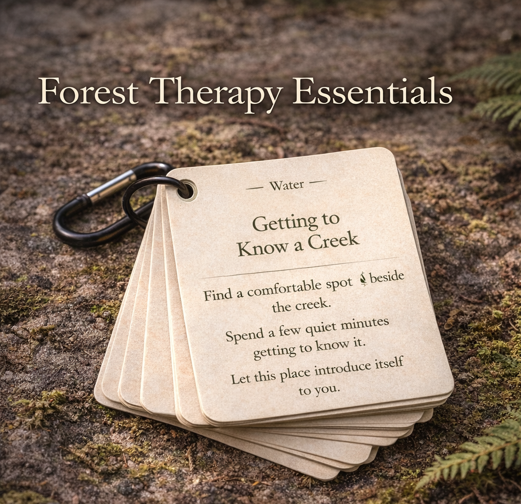 Forest Bathing Cards - 40 Shinrin-yoku Invitations - The Essentials Pack - Image 2