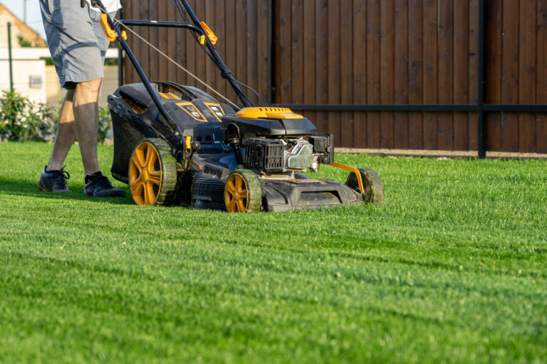 Rethinking lawns